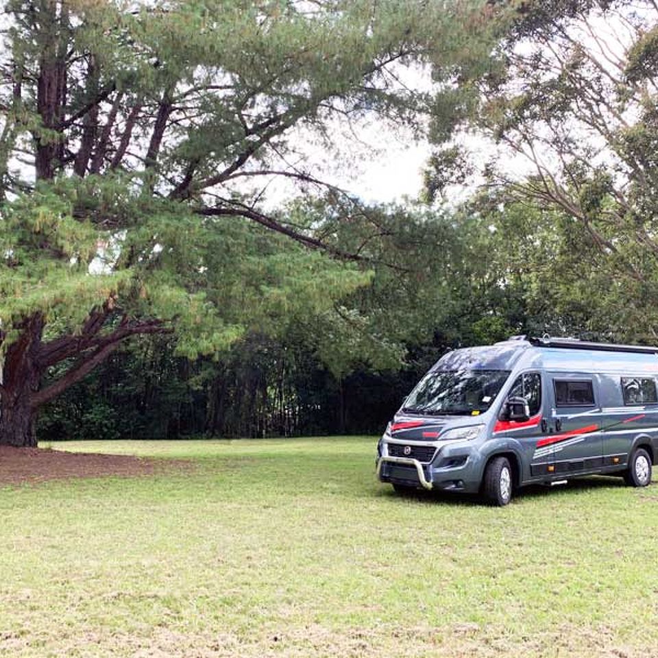 Avida Escape